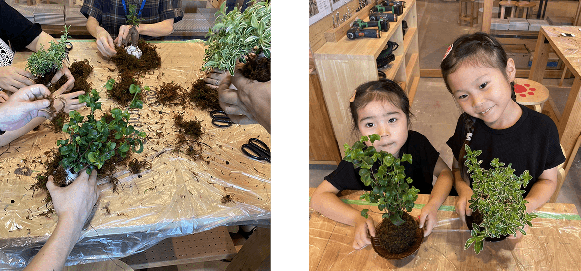 苔玉のワークショップのイメージ