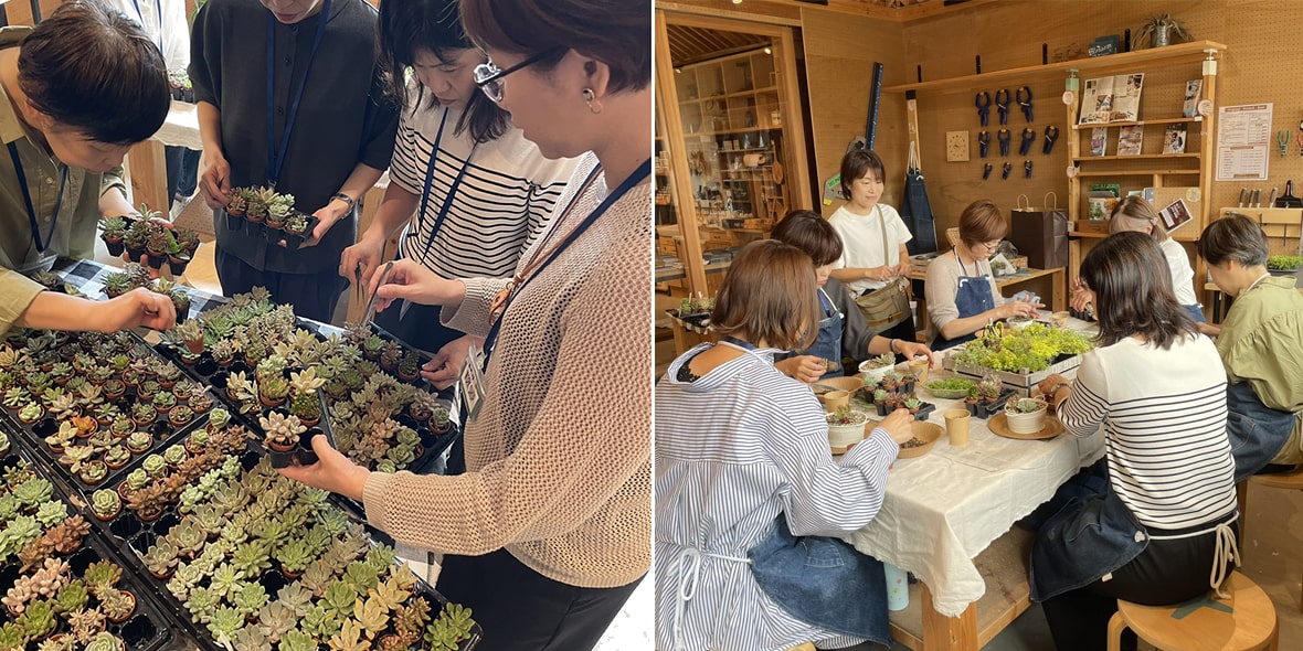 選べる多肉植物の寄せ植えワークショップのイメージ