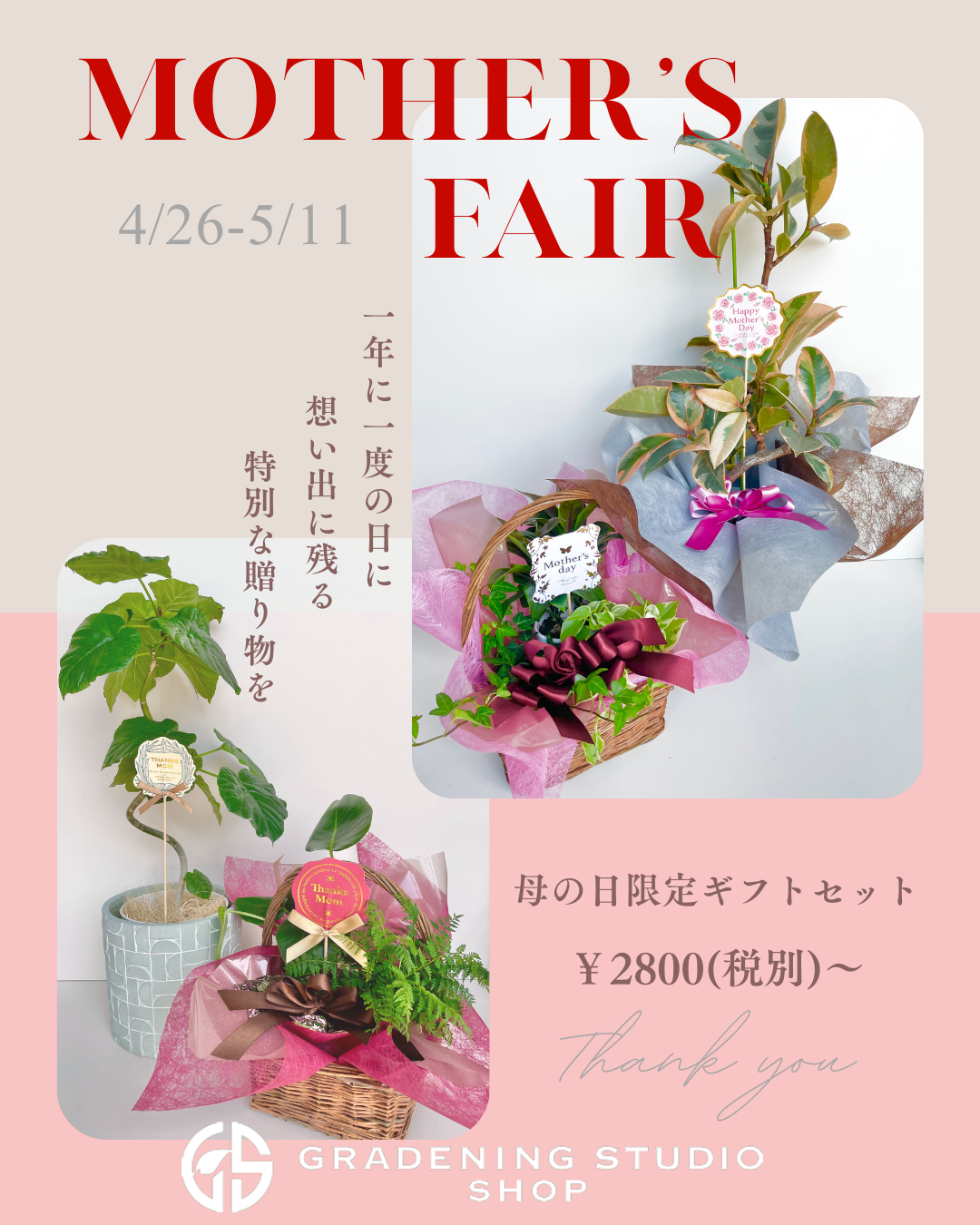 母の日フェアのイメージ