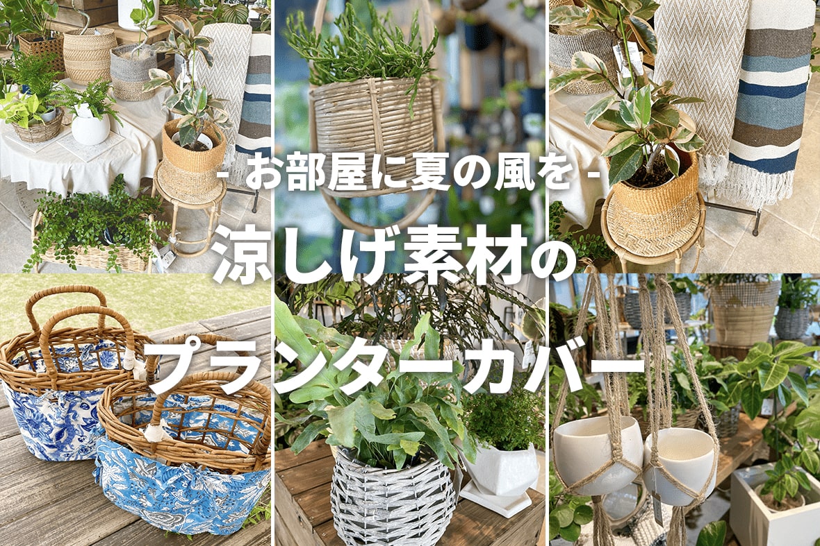 ショップのイメージ