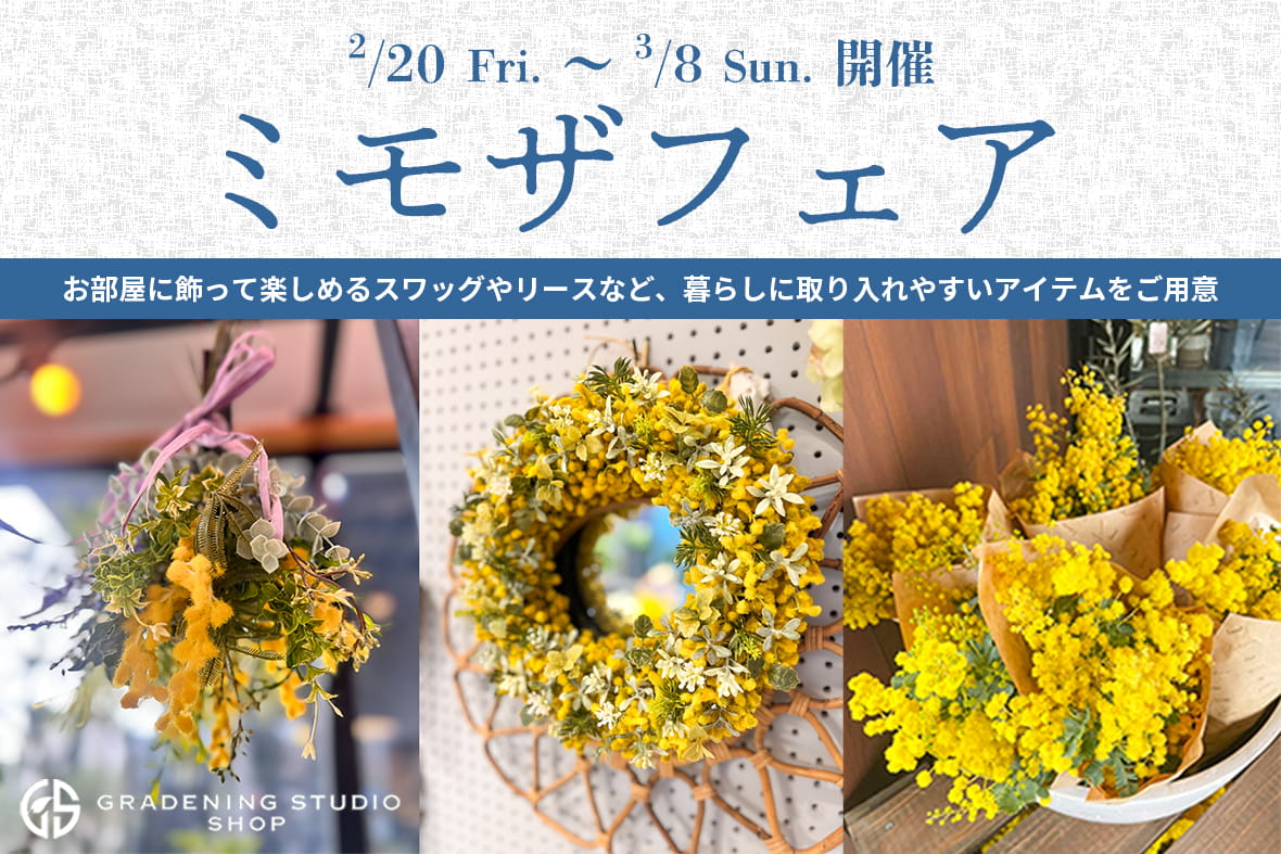 ミモザフェア